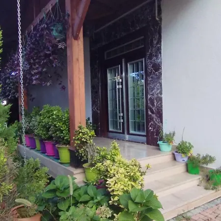 Ceneviz 5* Akcakoca